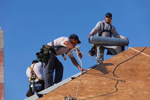 Best Commercial Roofing Services  in Diamond, IL