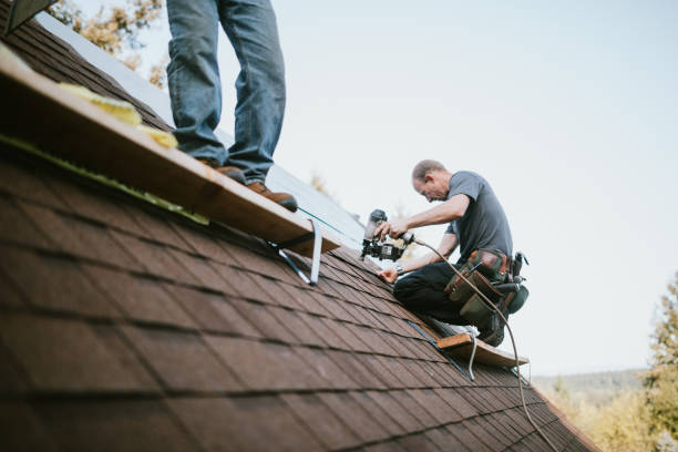 Professional Roofing Contractor in Diamond, IL